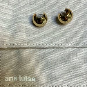 Ana Luisa Earings